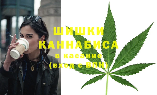 твердый Дмитровск