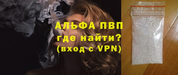 стаф Дмитриев