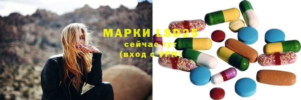стаф Дмитриев
