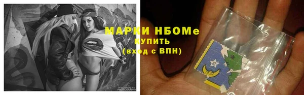 стаф Дмитриев