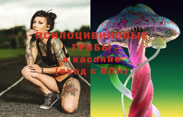 твердый Дмитровск