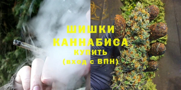 стаф Дмитриев