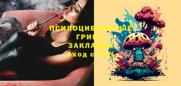 твердый Дмитровск
