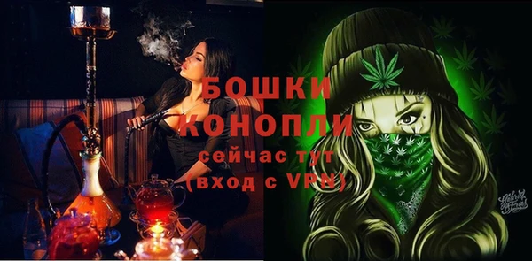 стаф Дмитриев