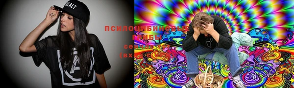 экстази Дмитров