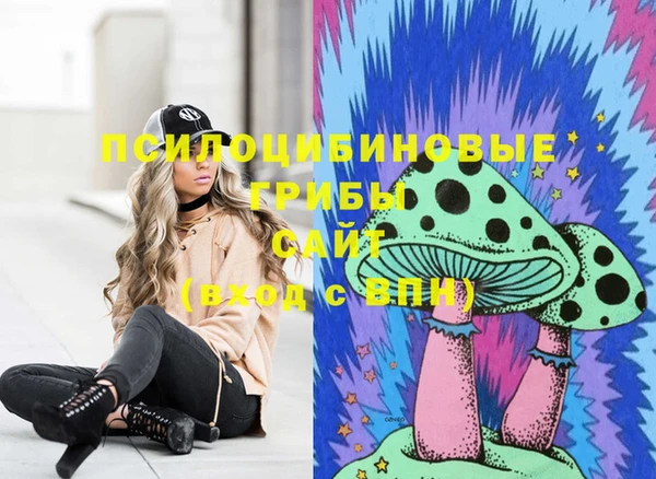 стаф Дмитриев
