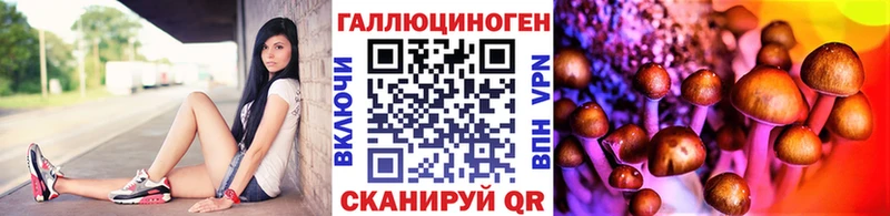 Купить закладки Сердобск Галлюциногенные грибы ЛСД